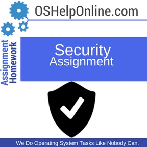 security assignment perfection